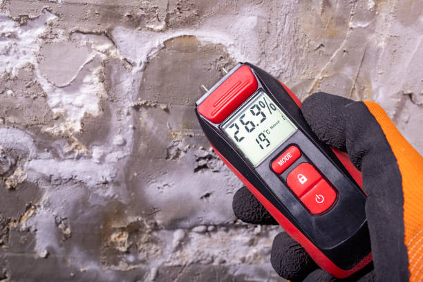 Best Best Mold Removal Companies  in Granite Shoals, TX