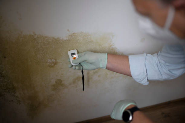 Crawl Space Mold Removal in Granite Shoals, TX