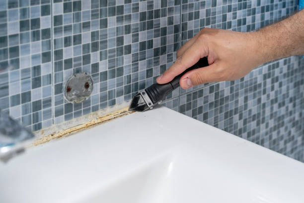 Granite Shoals, TX Mold Removal Company
