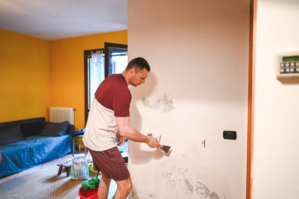 Best Residential Mold Removal  in Granite Shoals, TX
